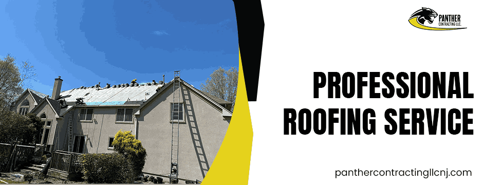 Professional Roofing Service